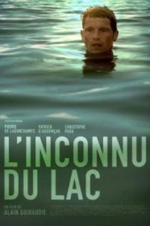 دانلود فیلم Stranger by the Lake 2013