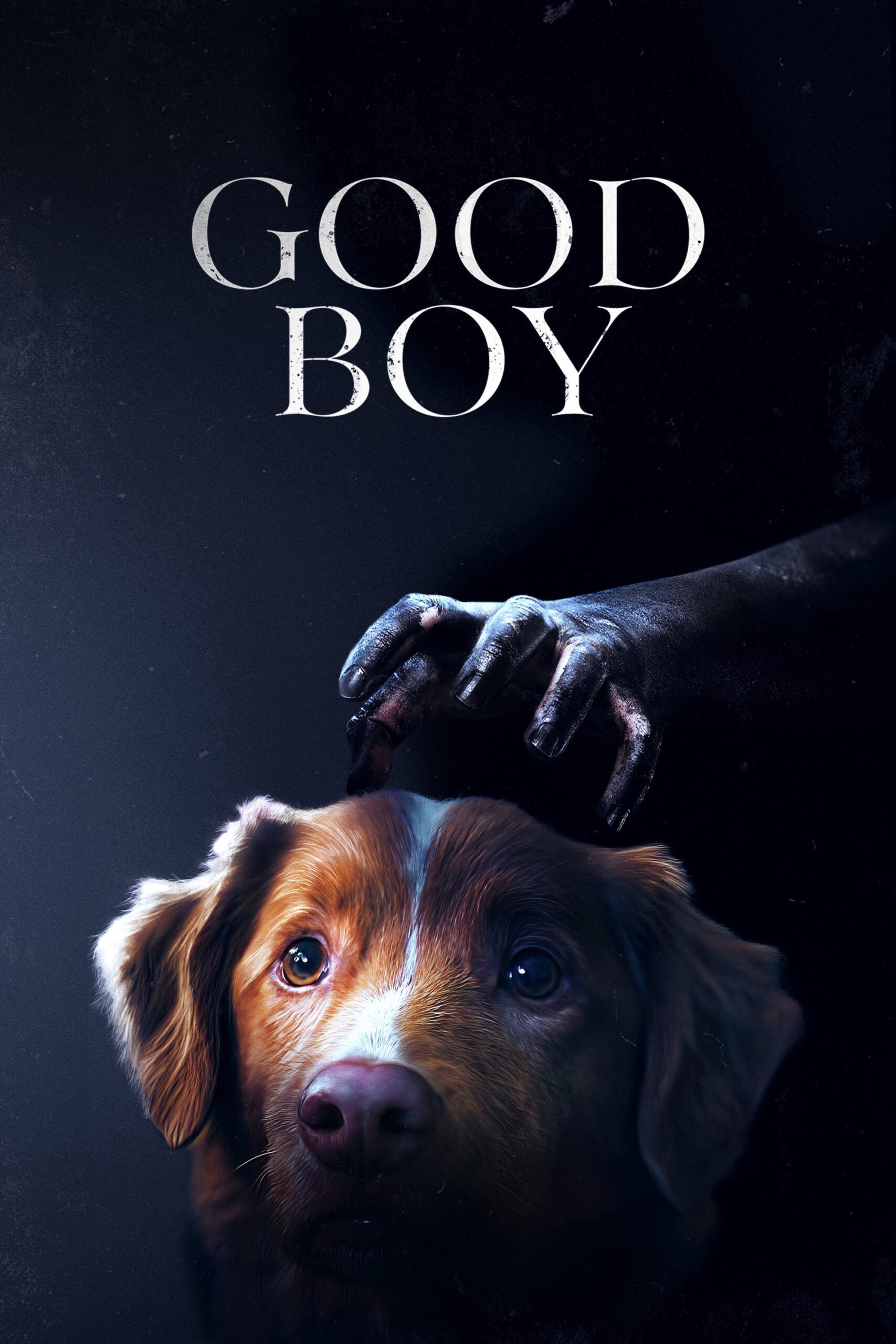 دانلود فیلم Good Boy 2025